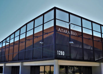 Atara Biotherapeutics Stock Enjoys Rebound