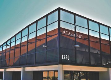 Atara Records Net Loss in Quarter